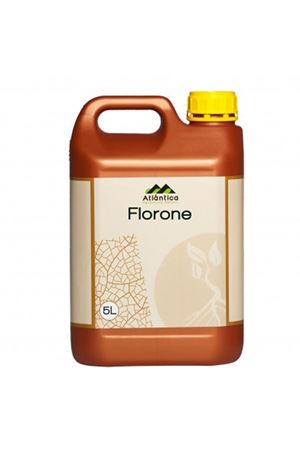 FLORONE  1 VE 5 LİTRELİK AMBALAJDA